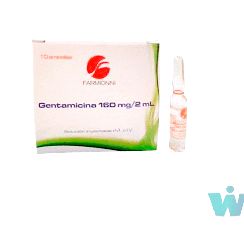 GENTAMICINA 160MG/2ML X 10 AMPOLLAS FARMIONI