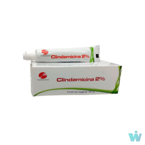 CLINDAMICINA 2% VAGINAL X 40G