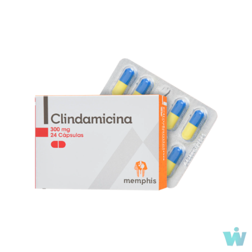 CLINDAMICINA 300 MG CJA X 40 CPS